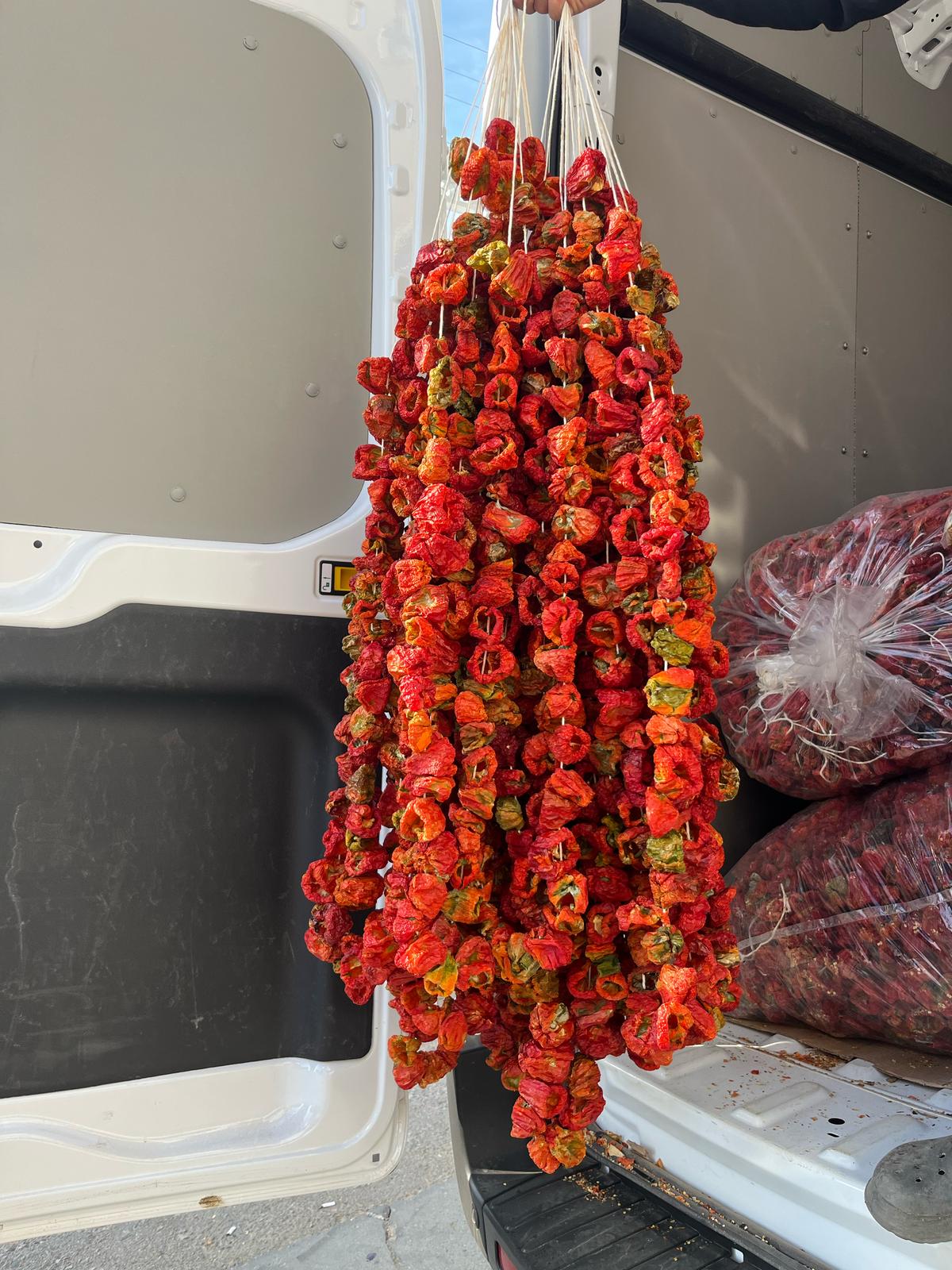 DOLMALIK BİBER 250 GR